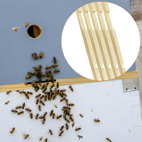 12 Pack Wooden Beehive Entrance Reducers For 10 Frame Hives, Beekeeping Supplies Keep Out Robbers Mice Moths, Regulate Warmth