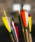 Colorful arrows with yellow and white fletching set with 4.2mm Arrow Nocks 0.165 Inch 50 Pack Insert Nocks For Hunting Arrows