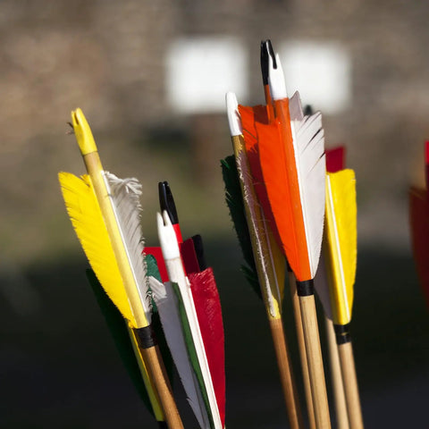 Colorful arrows with yellow and white fletching set with 4.2mm Arrow Nocks 0.165 Inch 50 Pack Insert Nocks For Hunting Arrows