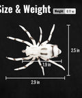 Weedless Topwater Spider Lure With Soft Hollow Body Walking Bait 4 Color Mix 4 Pack size and weight details for fishing