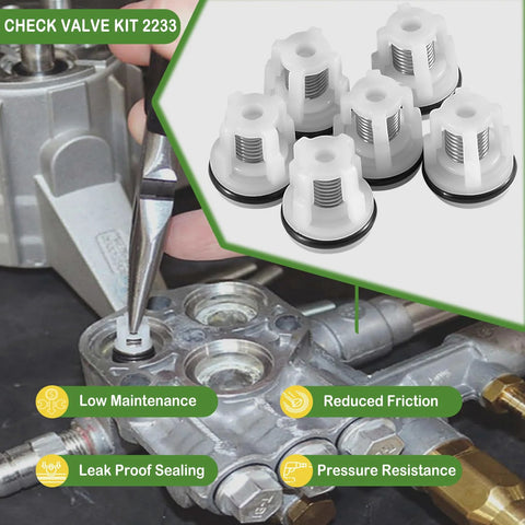Installed AR2233 check valve kit on pressure washer pump; six white plastic valves with springs