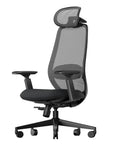 EC200 Ergonomic Office Chair With High Back Mesh Lumbar Support 3D Adjustable Headrest Sliding Seat Height And Depth Adjustments