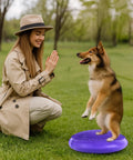 Dog on 14-Inch Dog Balance Disc With Cushioned Platform And Pump in purple, outdoor balance training with woman