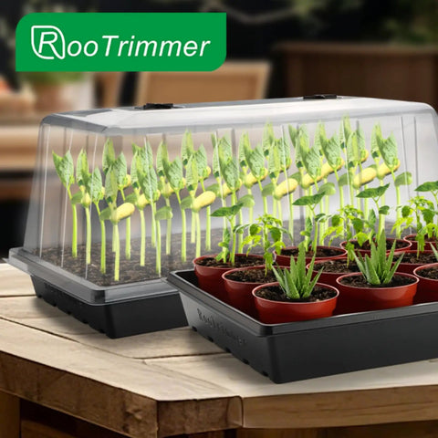 All In One Extra Tall 7.3 Inch Humidity Dome Seed Starter Tray Set Heavy Duty 1020 Size 5 Pack With Lids No Hole Flats For Balcony Garden Mini Greenhouse Germination System For Seedlings with seedlings under tall dome