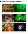 Comparison of corals and marine life fluorescence using a Fluoro Diving Flashlight Kit With Yellow Fluorescence Shield And Underwater Fluoro Mask For Night Dives Ideal For Dive Video Photography And Clear Fluorescent Barrier.