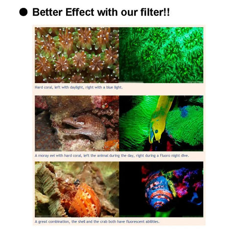 Comparison of corals and marine life fluorescence using a Fluoro Diving Flashlight Kit With Yellow Fluorescence Shield And Underwater Fluoro Mask For Night Dives Ideal For Dive Video Photography And Clear Fluorescent Barrier.