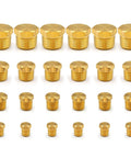 Heavy Duty Brass Hex Pipe Plug Fittings Kit, 24 Pieces, Includes One Eighth Inch, One Quarter Inch, Three Eighth Inch, And One Half Inch NTP Male Thread Plugs