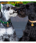 Two dogs wearing DIY collars, one in green and the other in brown, featuring brass rivets and D rings for pet accessories.
