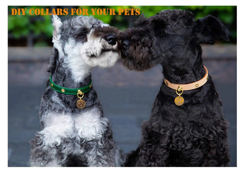 Two dogs wearing DIY collars, one in green and the other in brown, featuring brass rivets and D rings for pet accessories.