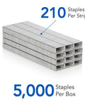Dang Tough Standard Size Staples With Razor Sharp Chisel Points For Quick Paper Piercing And Dependable Daily Office Tasks With Smooth Feeding And Zero Jamming Headaches, 5,000 staples in a box.