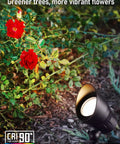 12 Pack Low Voltage LED Landscape Spotlight Kit With 5W 12V Pathway Lights illuminating garden with CRI90 spotlight