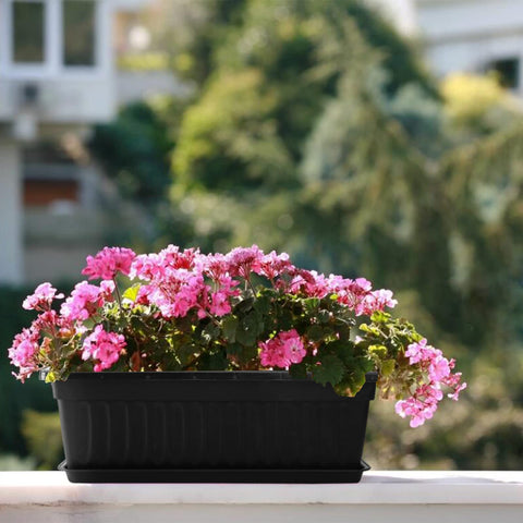 Black 7 Pack 17 Inch Window Box Planters With Trays For Veggies And Flowers In Plastic Growing Containers on Balustrade