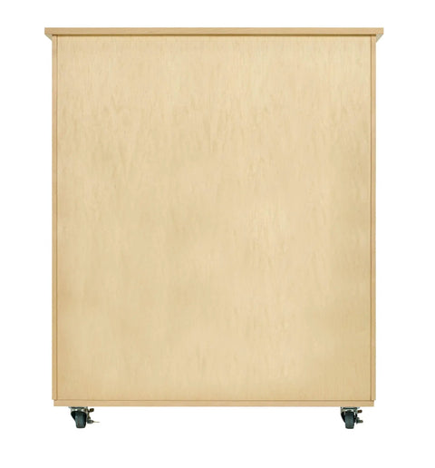 Back view of Top Tier Storage Cabinet For Makerspaces And Classrooms 50X24X53 Light Wood Finish With Chemical Resistant Top.