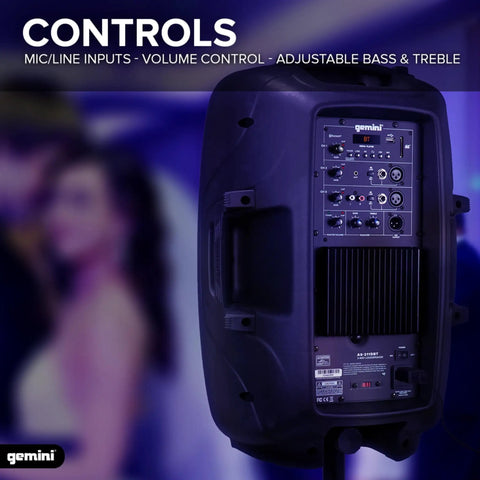 Back panel of 12 Inch Bluetooth PA Speaker 800W With TWS Link showing inputs, volume control, and adjustable settings