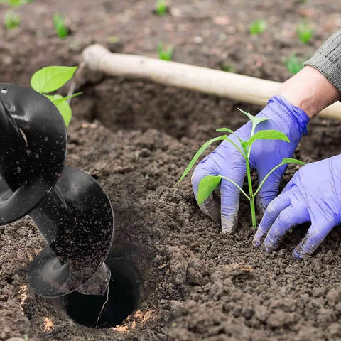 4x12 in garden auger drill bit for planting; purple-gloved hands guide a seedling into a soil hole.