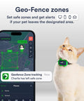 Hella Dependable 4G Lte Cat Gps Tracker with smartphone showing geo-fence alerts and cat wearing collar