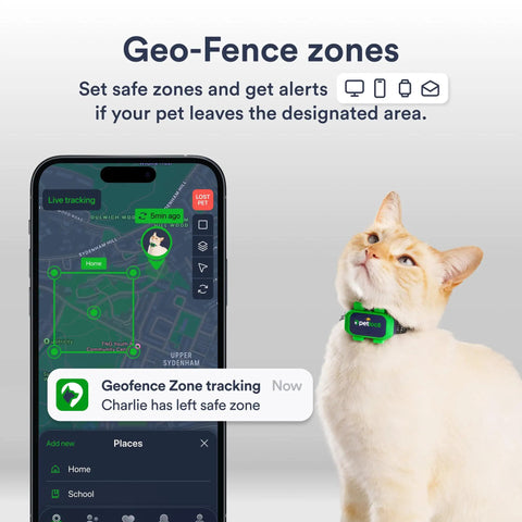 Hella Dependable 4G Lte Cat Gps Tracker with smartphone showing geo-fence alerts and cat wearing collar