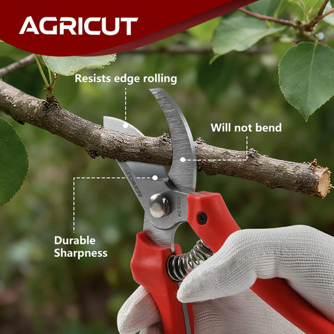 Heavy Duty 7 Inch Pruning Shears For Garden Pros With Japanese SK5 Steel Blades And 4 Of 5 Cut Capacity Bypass Hand Pruners cutting branch