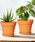 4 Inch Plastic Plant Pots With Drainage Holes And Trays, 8 Pack For Indoor And Outdoor Plants And Flowers, on table
