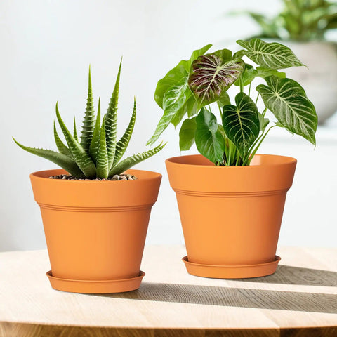 4 Inch Plastic Plant Pots With Drainage Holes And Trays, 8 Pack For Indoor And Outdoor Plants And Flowers, on table