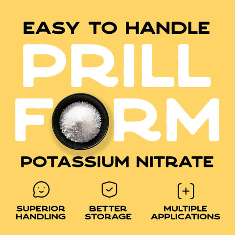 Real Deal Potassium Nitrate Pellets 99 Percent Pure Plant Fertilizer To Crush The Garden Grind For Hefty Fruits Crisp Vegetables And Show Stopping Flowers Across Backyards And Farm Lots