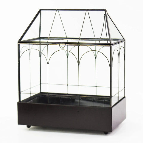 Tall Glass Plant Terrarium With Lip And Tray On Wheels For Home Succulents And Houseplants Glass Greenhouse Waterproof Brass Tray With Dope Wheels 9.5 By 5.7 By 11.4 Inches