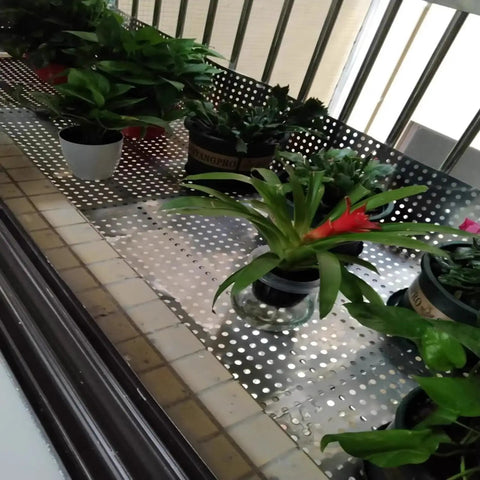 Durable Perforated Stainless Steel Sheet With 10mm Holes 50x100 Cm Mesh Panel holding potted plants on a flat surface with safe edges