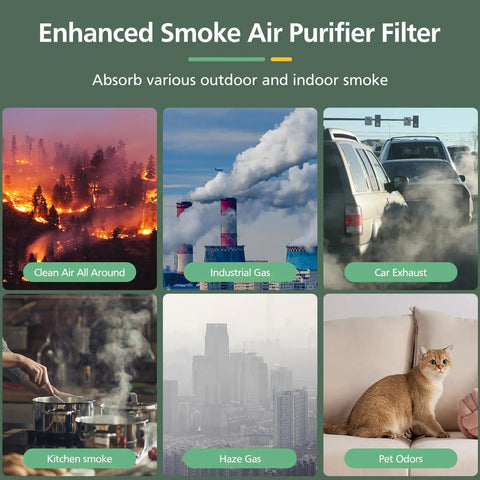 Collage of outdoor and indoor smoke sources filtered by air purifier, including wildfires, industrial smoke, car exhaust, kitchen smoke, haze, and pet odors.