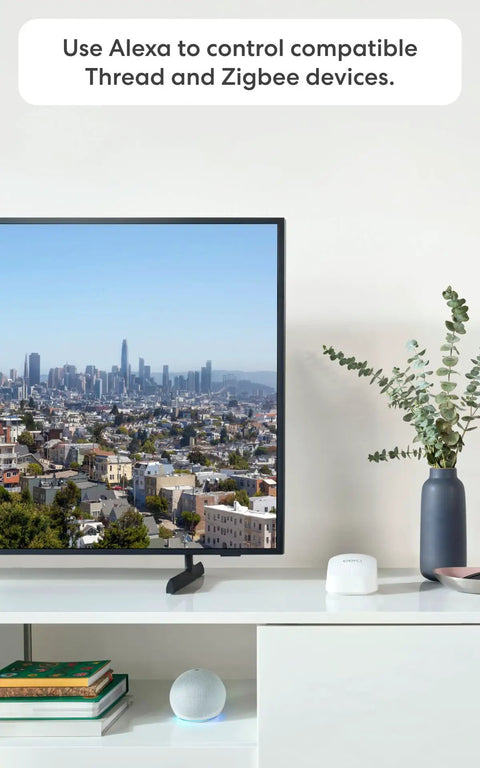 Living room with TV displaying cityscape, smart speaker on white shelf, plants, and books