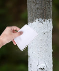 Person using Six Piece Plastic Notched Glue Spreader Kit With Half And One Inch Teeth For Epoxy Resin Putty Hardwood Flooring to spread white paint on a tree.
