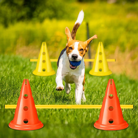 Dog running through yellow Dog Agility Hurdle Cone Set For Backyard Training Height Adjustable Obstacle Course Kit