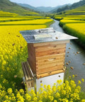 Beehive with Five Pack Thickened Aluminum Reflective Insulation Film in a field of yellow flowers near a river.