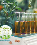 Twelve 30ml Glass Test Tubes with Cork Stopper, filled with liquid, used for plant cultivation in the garden, acrylic rack visible