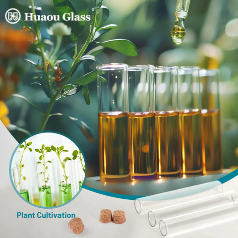 Twelve 30ml Glass Test Tubes with Cork Stopper, filled with liquid, used for plant cultivation in the garden, acrylic rack visible