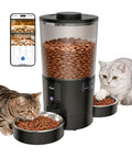 Top Shelf Dual Camera Automatic Pet Feeder With Two Separated Bowls And Six Liter Hopper For Independent Cats And Dogs Smart Programmable Timer with cats