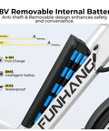 48V removable battery of Powerful 1000W Peak Electric Bike For Adults, Cruise At 20 MPH, 50 Mile Range, with key lock