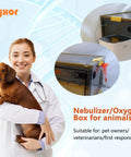 Veterinarian holding dog beside All-In-One Pet Oxygen Chamber And ICU Nest For Cats, Dogs, And Small Exotic Pets, Gray Intermediate Size