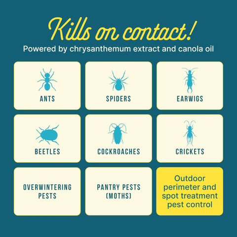 Chart showing insects affected by Bug Doom Insect Barrier Spray For Home And Yard, including ants, beetles, and spiders.