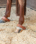 Kick Chain Harness For Horses Easy On Easy Off One Size Fits Most Stall And Trailer Safety Restraint with durable webbing in use