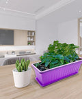 Four Pack Rectangular Window Flower Box Planters With Trays For Balcony Windowsill Garden Durable Eco Friendly Plastic Great For Flowers Herbs And Small Vegetables 16.8 Inch Long, indoor use with green plants.