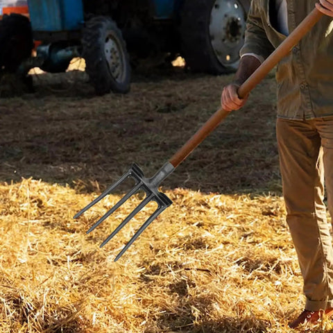 Person using Heavy Duty 11 Inch Four Prong Steel Pitch Fork Replacement Head for soil loosening on a farm