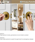 Antique Brass Glass Door Knobs With Privacy Lock shown being used from inside and outside with Thumb Turn Lock and Emergency Allen Key