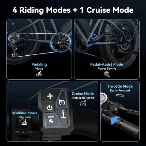 Dashboard showing riding modes of RetroVolt Electric Bike For Adults With 2000W Peak Motor 30 MPH Top Speed 70 Mile Range 48V 13Ah.