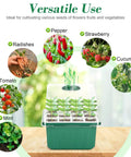 4 Pack Self Watering Seed Starter Trays With Grow Light Kit showing versatility with plants like cucumbers, strawberries, and peppers