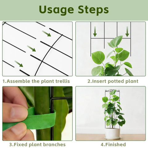 Steps to use 4 Pack 31 Inch Tall Metal Plant Trellis for Indoor and Outdoor Use with ties and support for vines.