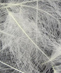 Natural White Cul De Canard CDC Feather For Dry Fly Tying Superior Flotation And Natural Oils Easy To Tie Ideal For Dry Flies And Nymphs