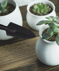 All In One Bonsai And Succulent Care Kit With Ergonomic Shovel And Scissors, Pouring Kettle, Seedling Tools For Indoor Potted Plants, Easy Transplanting, Pruning, Watering, And Plant Maintenance. Black shovel near white potted succulents
