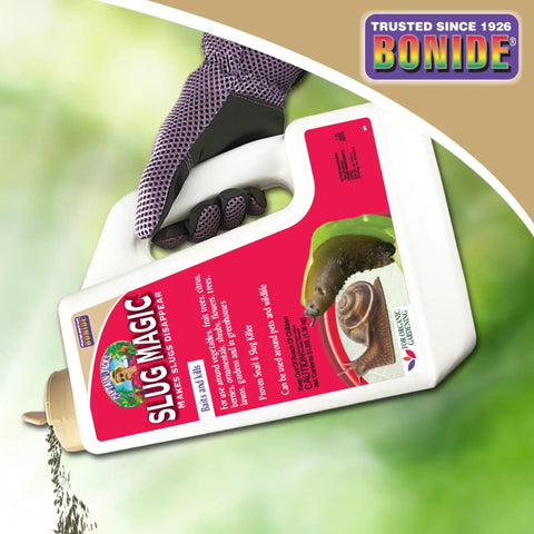 Gloved hand holding Captain Jack's Slug Magic Granules 3 Lbs Snail And Slug Killer For Organic Garden Use Pet Safe Formula container