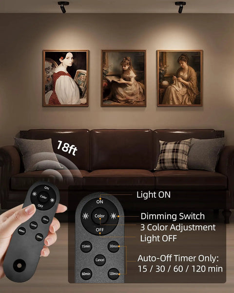 Cordless Indoor Spotlight Kit With Remote, 5500mAh Rechargeable Battery, Wireless LED Uplighting With Timer lighting artwork above sofa