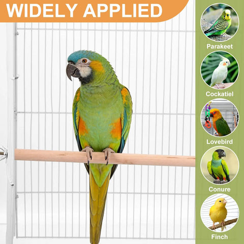 Premium Natural Wood Bird Perch Stand Set For Parakeets And Cockatiels, Five Piece Assorted Rods For A Smooth Multi Level Cage Setup That Really Slaps with a green parrot on a wooden perch.
